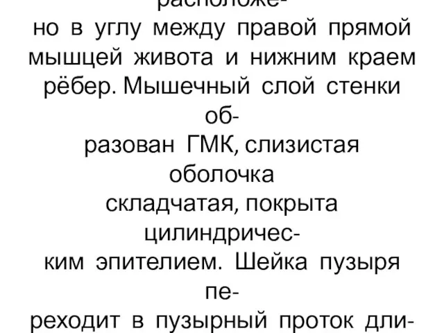 Дно желчного пузыря расположе- но в углу между правой прямой мышцей