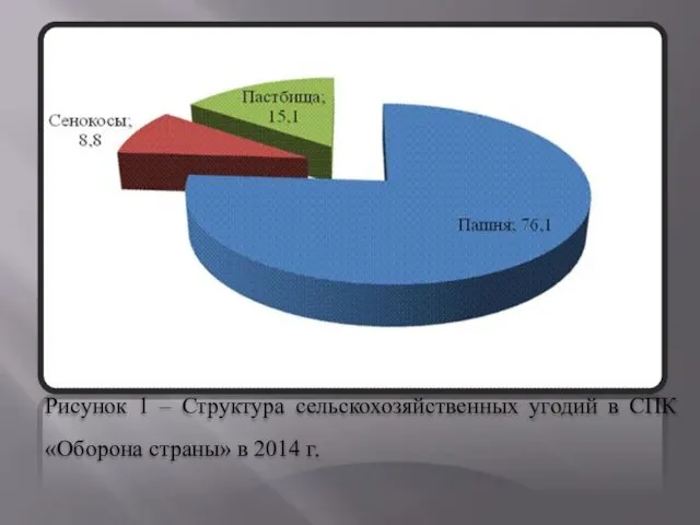 Рисунок 1 – Структура сельскохозяйственных угодий в СПК «Оборона страны» в 2014 г.