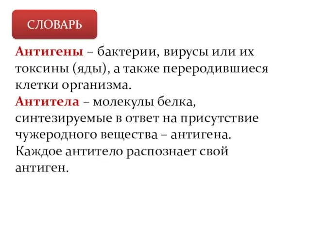 СЛОВАРЬ Антигены – бактерии, вирусы или их токсины (яды), а также