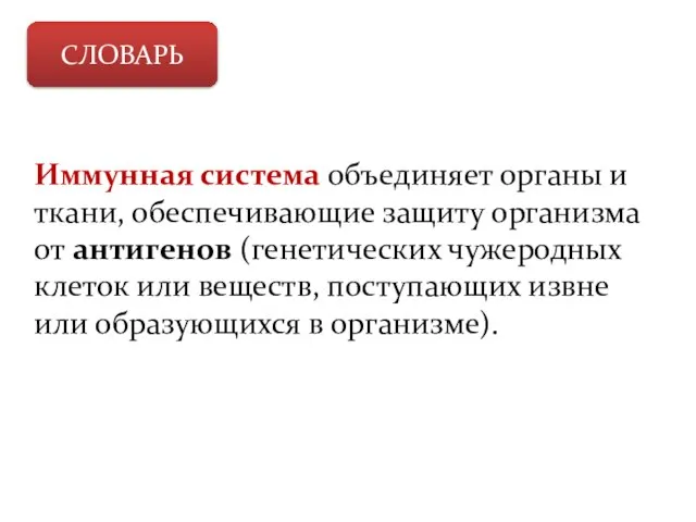 СЛОВАРЬ Иммунная система объединяет органы и ткани, обеспечивающие защиту организма от