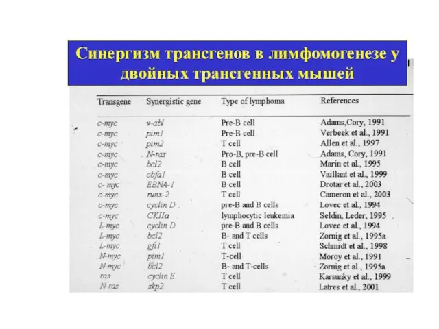 Синергизм трансгенов в лимфомогенезе у двойных трансгенных мышей