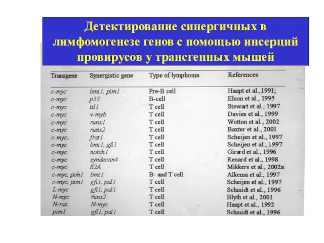 Детектирование синергичных в лимфомогенезе генов с помощью инсерций провирусов у трансгенных мышей