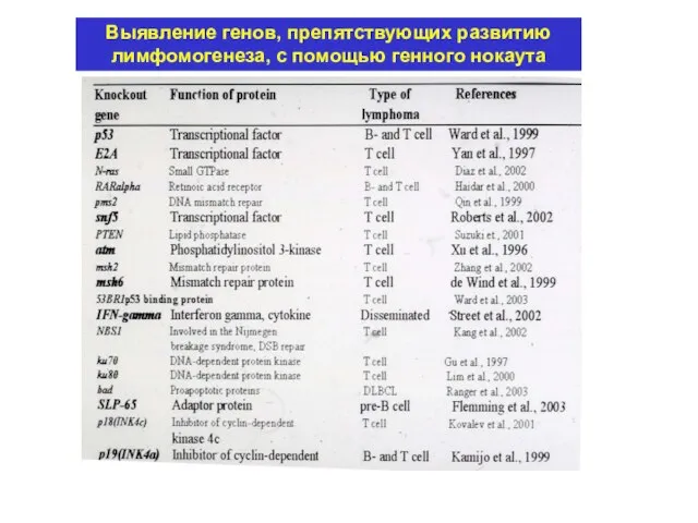 Выявление генов, препятствующих развитию лимфомогенеза, с помощью генного нокаута