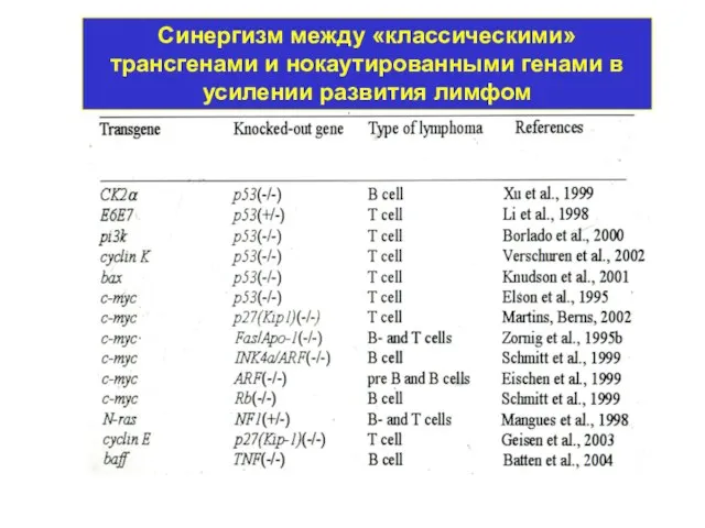 Синергизм между «классическими» трансгенами и нокаутированными генами в усилении развития лимфом