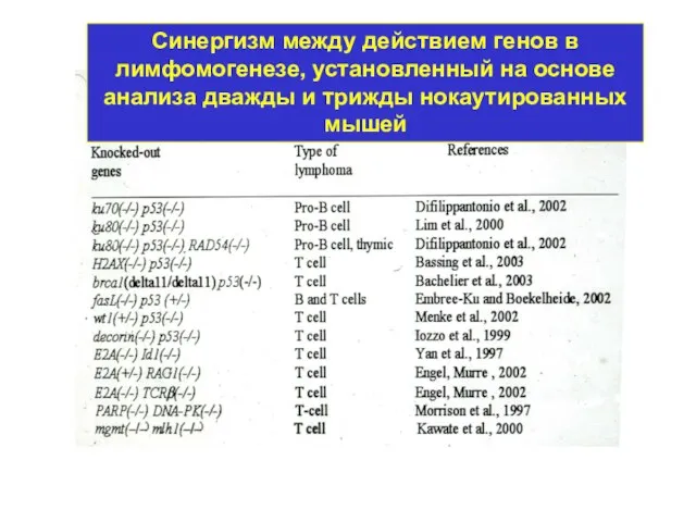 Синергизм между действием генов в лимфомогенезе, установленный на основе анализа дважды и трижды нокаутированных мышей