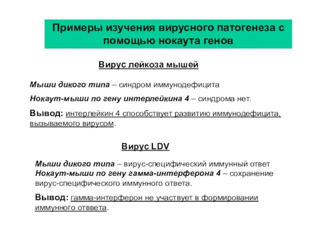 Примеры изучения вирусного патогенеза с помощью нокаута генов Вирус лейкоза мышей