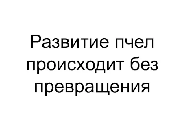 Развитие пчел происходит без превращения