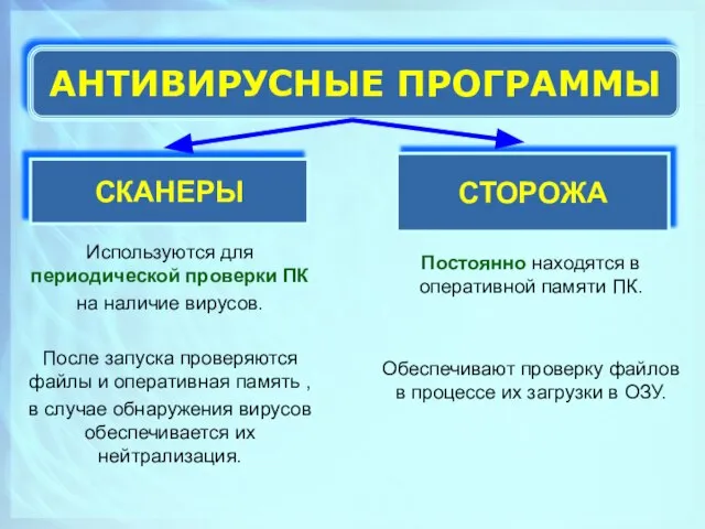 Используются для периодической проверки ПК на наличие вирусов. После запуска проверяются