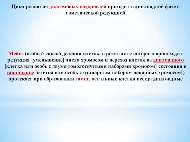 Цикл развития диатомовых водорослей проходит в диплоидной фазе с гаметической редукцией