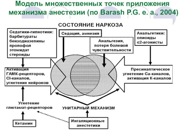 Модель множественных точек приложения механизма анестезии (по Barash P.G. e. a., 2004)