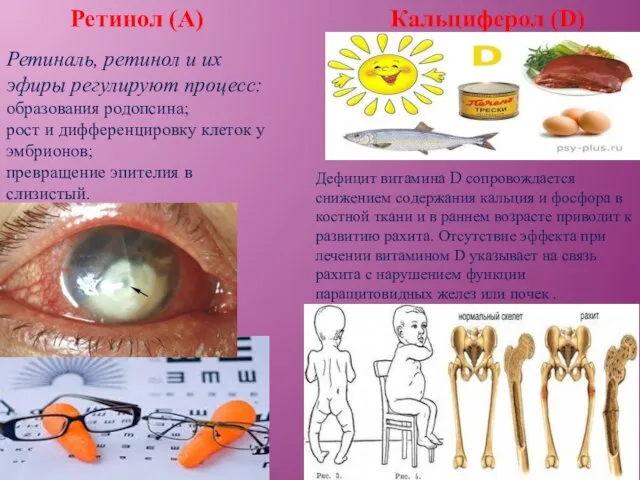 Ретинол (А) Ретиналь, ретинол и их эфиры регулируют процесс: образования родопсина;