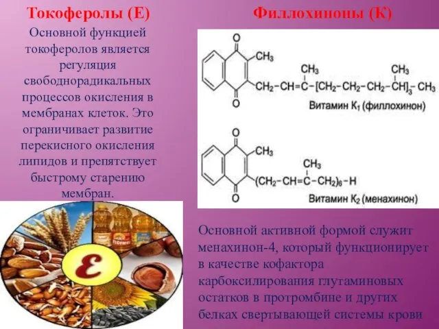 Токоферолы (Е) Основной функцией токоферолов является регуляция свободнорадикальных процессов окисления в