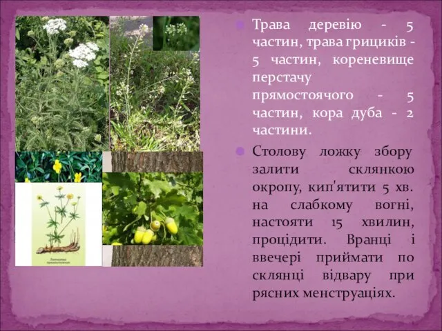 Трава деревію - 5 частин, трава грициків - 5 частин, кореневище