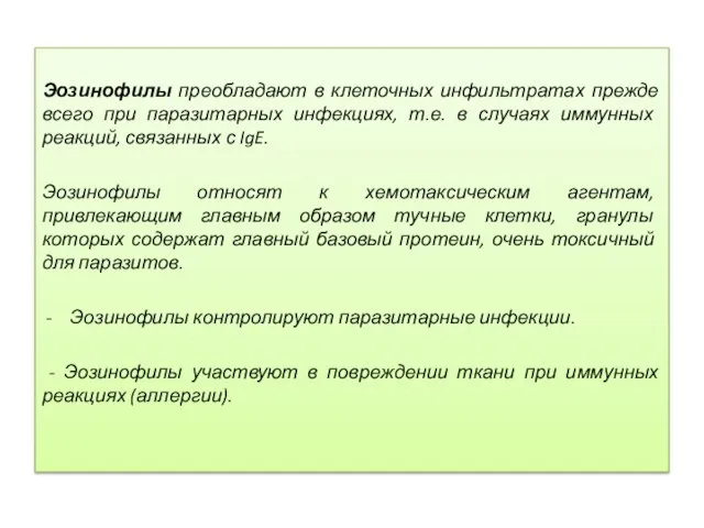 Эозинофилы преобладают в клеточных инфильтратах прежде всего при паразитарных инфекциях, т.е.