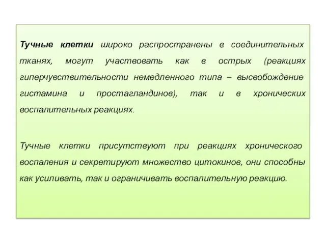 Тучные клетки широко распространены в соединительных тканях, могут участвовать как в