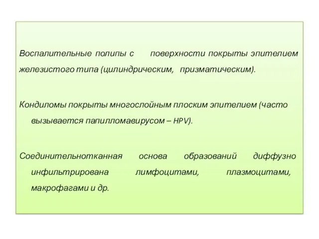 Воспалительные полипы с поверхности покрыты эпителием железистого типа (цилиндрическим, призматическим). Кондиломы