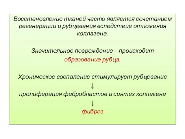 Восстановление тканей часто является сочетанием регенерации и рубцевания вследствие отложения коллагена.