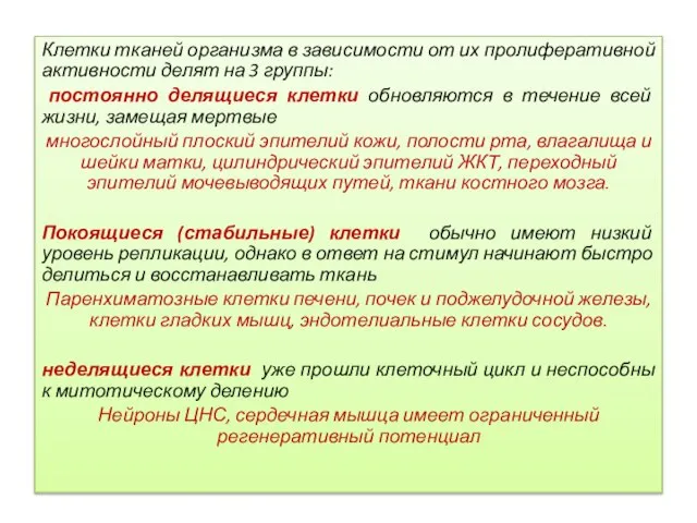 Клетки тканей организма в зависимости от их пролиферативной активности делят на