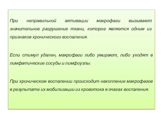 При неправильной активации макрофаги вызывают значительное разрушение ткани, которое является одним