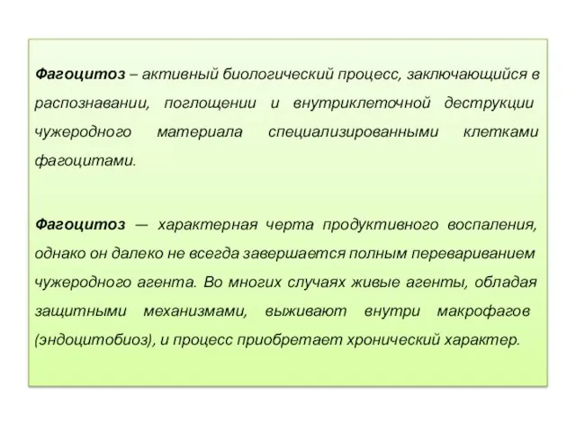 Фагоцитоз – активный биологический процесс, заключающийся в распознавании, поглощении и внутриклеточной