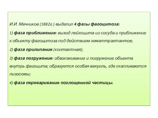 И.И. Мечников (1882г.) выделил 4 фазы фагоцитоза: 1) фаза приближения: выход