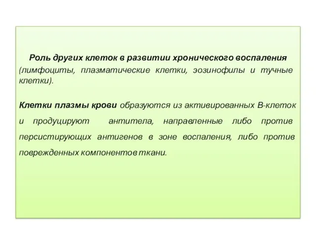 Роль других клеток в развитии хронического воспаления (лимфоциты, плазма­тические клетки, эозинофилы