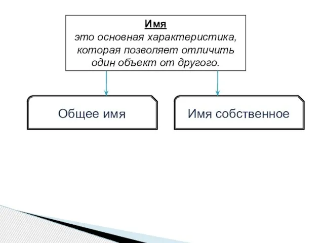 Имя это основная характеристика, которая позволяет отличить один объект от другого. Общее имя Имя собственное