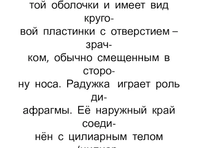 Радужка – радужная оболочка – со- ставляет переднюю часть сосудис- той