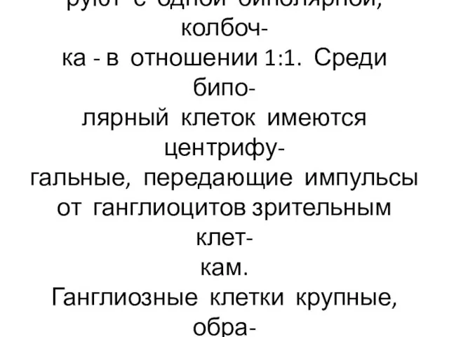 Палочконесущие клетки контакти- руют с одной биполярной, колбоч- ка - в