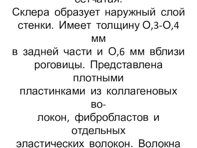 Оболочки глазного яблока: фиброз- ная (склера), сосудистая и сетчатая. Склера образует