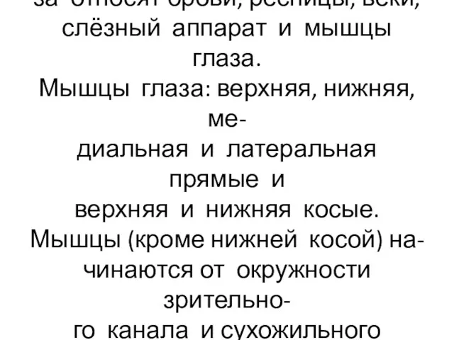 К вспомогательному аппарату гла- за относят брови, ресницы, веки, слёзный аппарат