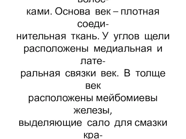 Слёзное мясцо содержит жировую ткань и сальные железки с волос- ками.