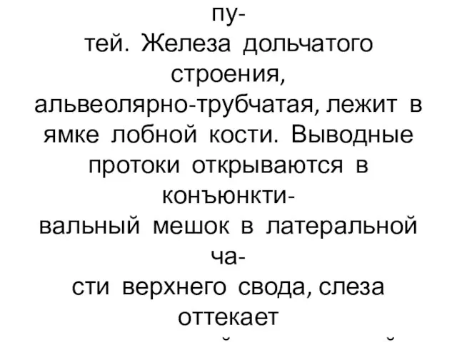 Слёзный аппарат состоит из слёз- ной железы и слёзоотводящих пу- тей.