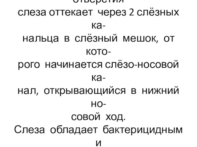 Из слёзного озера через отверстия слеза оттекает через 2 слёзных ка-