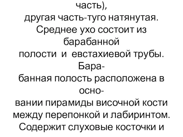 Вверху перепонка не содержит со- единительной ткани (мягкая часть), другая часть-туго