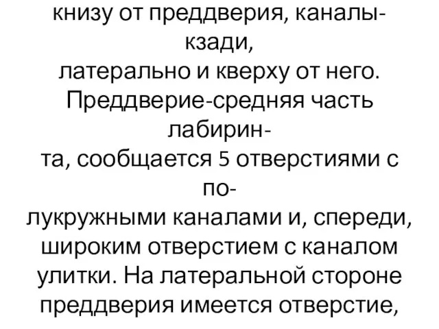 Улитка лежит спереди, медиально и книзу от преддверия, каналы- кзади, латерально