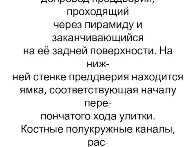 В первом углублении начинается во- допровод преддверия, проходящий через пирамиду и