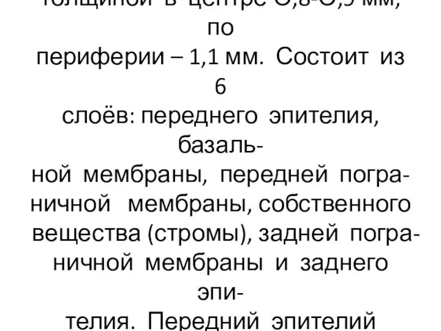 Выпукло-вогнутая пластинка (линза) толщиной в центре О,8-О,9 мм, по периферии –