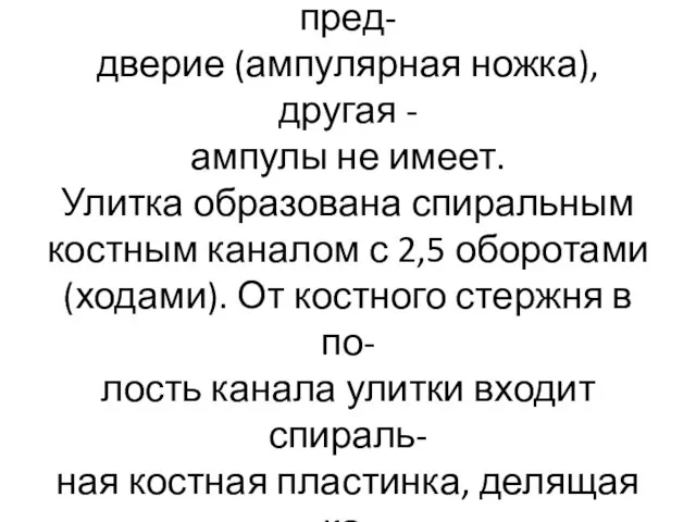 Одна из ножек каждого канала рас- ширяется перед впадением в пред-