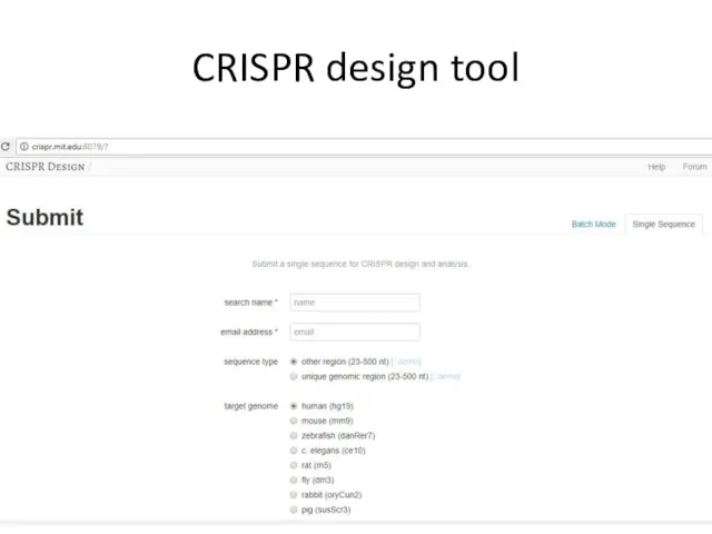 CRISPR design tool