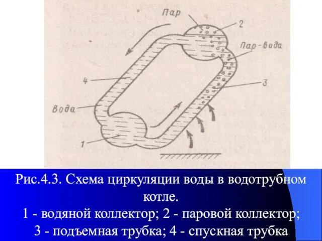 Рис.4.3. Схема циркуляции воды в водотрубном котле. 1 - водяной коллектор;