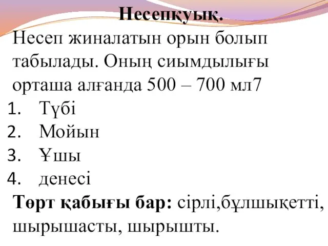 Несепқуық. Несеп жиналатын орын болып табылады. Оның сиымдылығы орташа алғанда 500