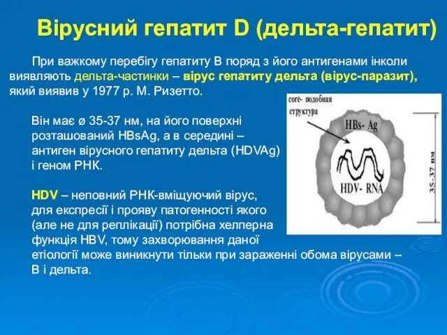 Вірусний гепатит D (дельта-гепатит) При важкому перебігу гепатиту В поряд з