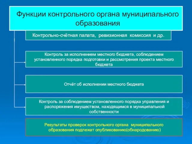 Функции контрольного органа муниципального образования Контрольно-счётная палата, ревизионная комиссия и др.