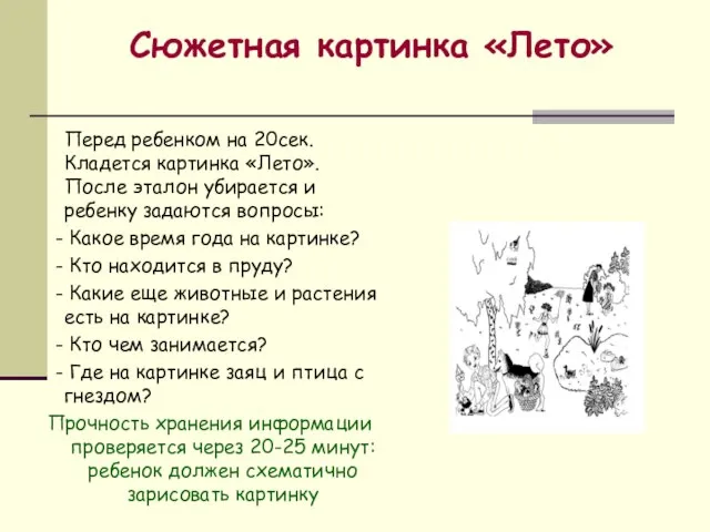 Сюжетная картинка «Лето» Перед ребенком на 20сек. Кладется картинка «Лето». После