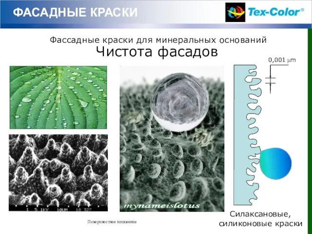 ФАСАДНЫЕ КРАСКИ Чистота фасадов Силаксановые, силиконовые краски 0,001 μm Фассадные краски для минеральных оснований Поверхностное натяжение