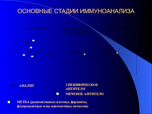 ОСНОВНЫЕ СТАДИИ ИММУНОАНАЛИЗА АНАЛИТ СПЕЦИФИЧЕСКОЕ АНТИТЕЛО МЕЧЕНОЕ АНТИТЕЛО МЕТКА (радиоактивные изотопы, ферменты, флуоресцентные в-ва, наночастицы металлов)