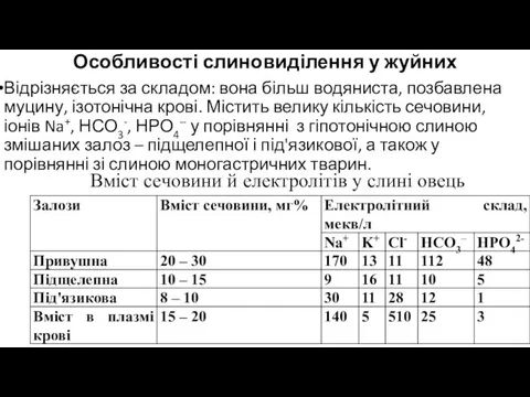 Особливості слиновиділення у жуйних Відрізняється за складом: вона більш водяниста, позбавлена