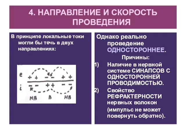 4. НАПРАВЛЕНИЕ И СКОРОСТЬ ПРОВЕДЕНИЯ В принципе локальные токи могли бы