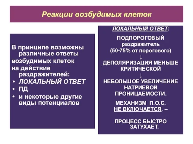 Реакции возбудимых клеток В принципе возможны различные ответы возбудимых клеток на